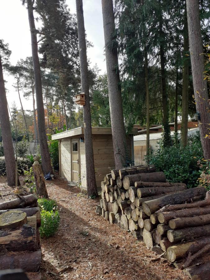 B&B Altijd Zomer Nijlen Exterior foto